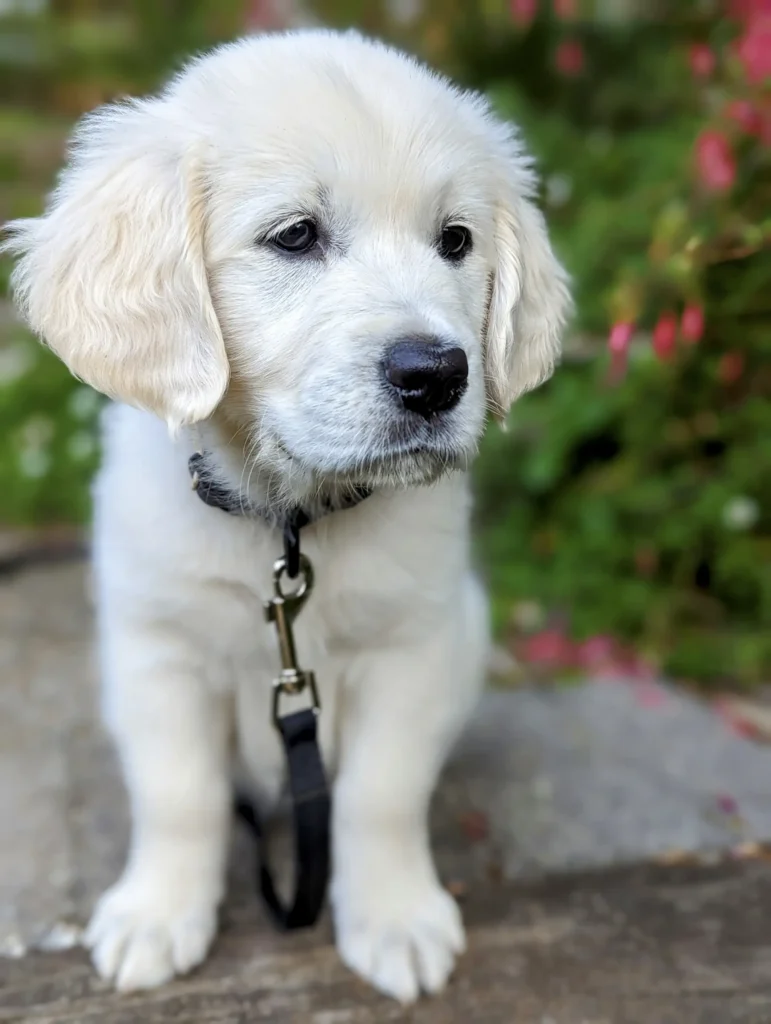 PXL_20230512_034835234.PORTRAIT~2 copy