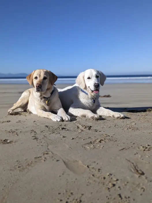 PXL_20240527_004245226.PORTRAIT copy