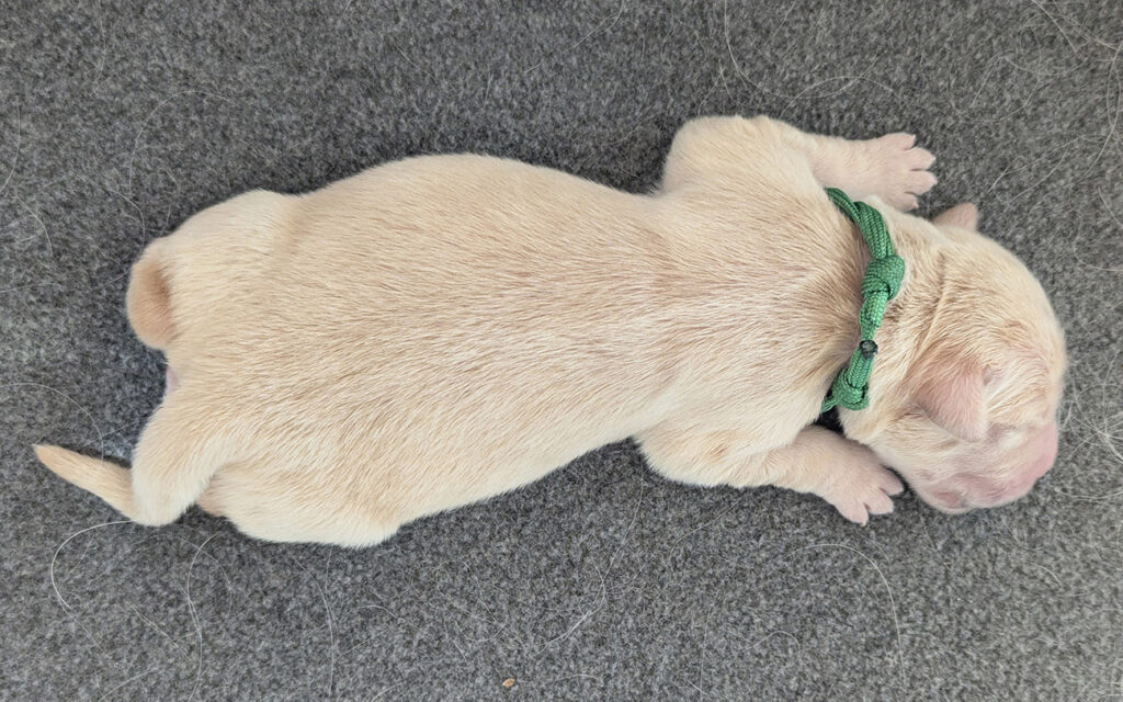 1000058138 smaller 800x500