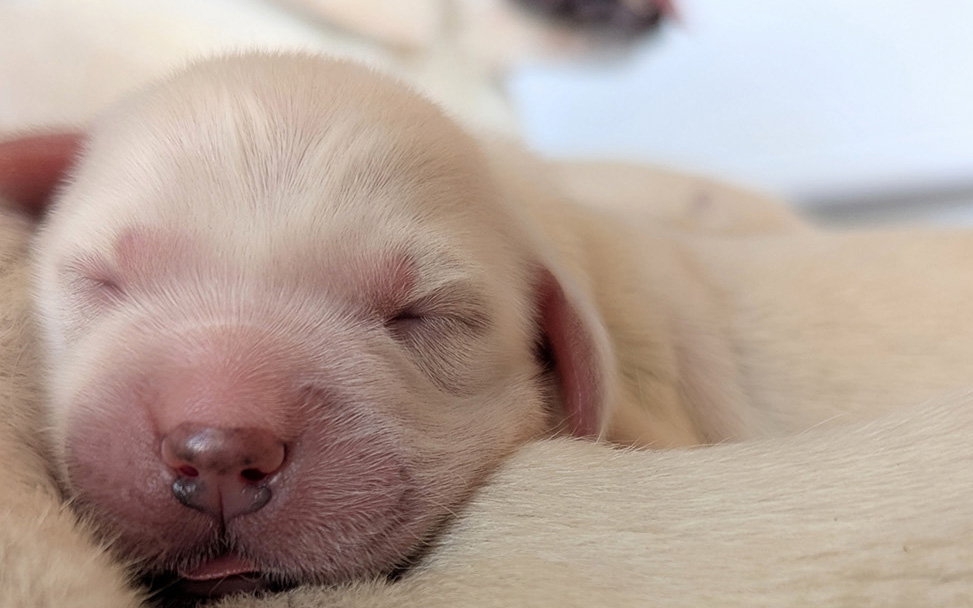 1000058140 smaller 800x500