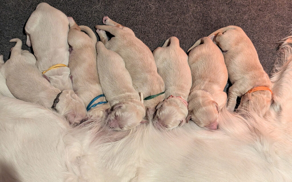 1000058148 smaller 800x500