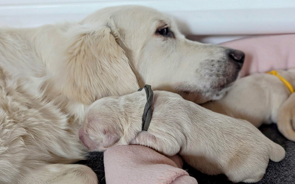 1000058151 smaller 800x500