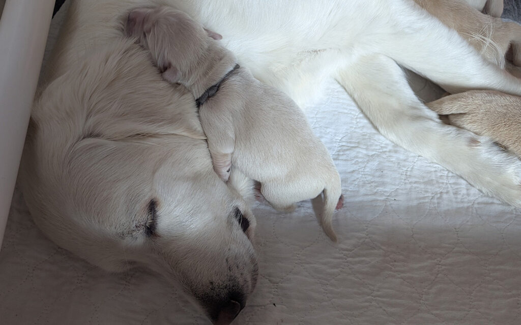 1000058153 smaller 800x500